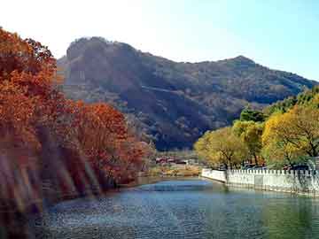 奥门天天开奖免费资料，除油器